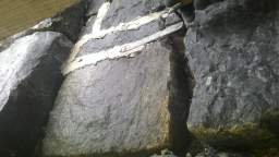 acastle
                          111690.jpg